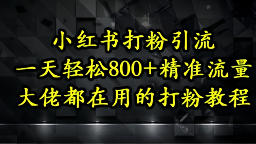 小红书打粉引流，一天轻松500+精准流量，大佬都在用的打粉教程_超次元库