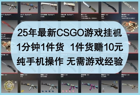 25年最新CSGO游戏挂G，1分钟1件货，1件货挣10元，纯手机操作，无需游戏经验【揭秘】_超次元库
