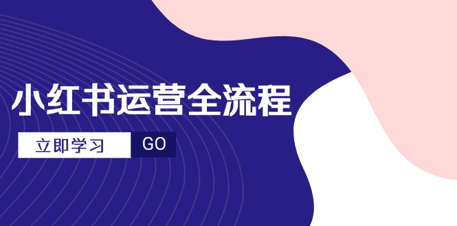 小红书运营全流程，爆款选题文案，视频制作技巧，进阶达人宝典_超次元库