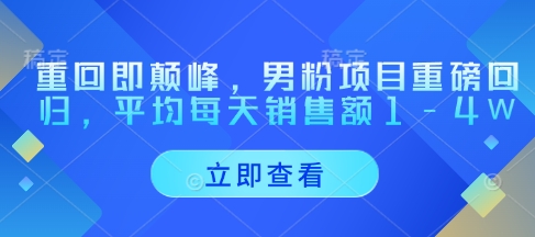 重回即颠峰，男粉项目重磅回归，平均每天销售额1-4W_超次元库