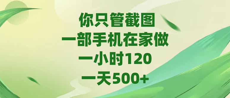 你只管截图，一部手机在家做，一小时120，-天500+_超次元库