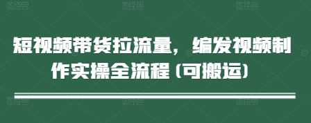 短视频带货拉流量，编发视频制作实操全流程(可搬运)_超次元库