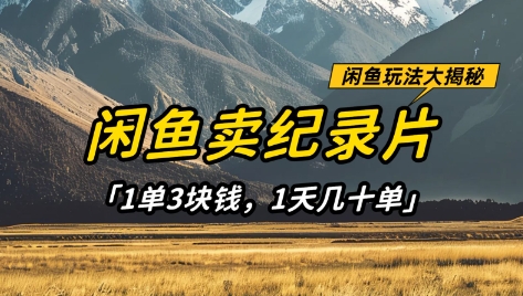 闲鱼卖纪录片1单3块钱，1天几十单，项目稳定有潜力_超次元库