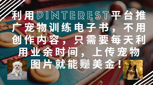 利用Pinterest平台推广宠物训练电子书，不用创作内容，只需要每天利用业余时间，上传宠物图片就能挣美金!_超次元库