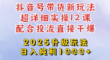 2025全新升级抖音带货玩法，一天纯利四位数，从剪辑到选品再到发布投流，超详细玩法揭秘_超次元库