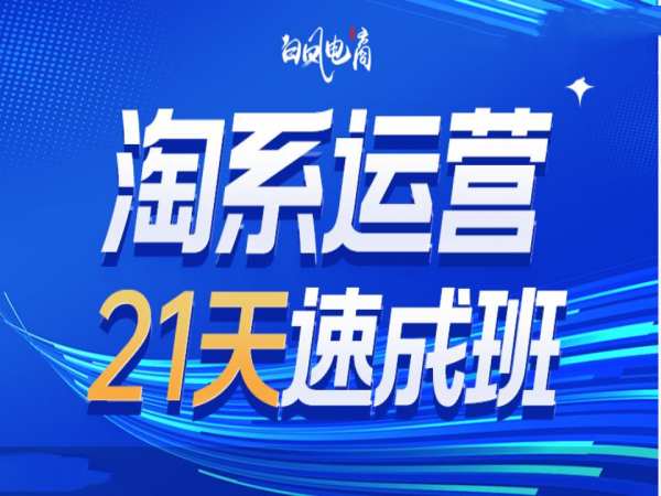 淘系运营21天速成班35期，年前最后一波和2025方向_超次元库