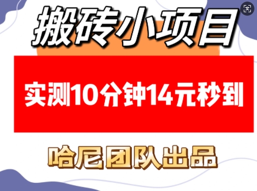 搬砖小项目，实测10分钟14元秒到，每天稳定几张(赠送必看稳定)_超次元库