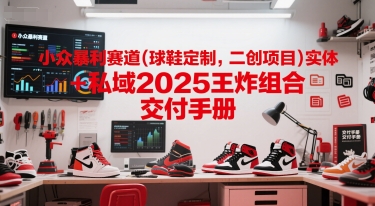 小众暴利赛道(球鞋定制，二创项目)实体+私域2025王炸组合  交付手册_超次元库