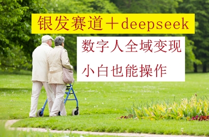 银发赛道+deepseek数字人全域变现，小白也能操作_超次元库