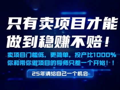只有卖项目才能做到稳挣不赔，门槛低，更简单，你也可以年入百个W【揭秘】_超次元库