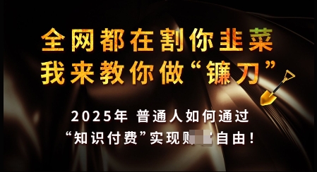 知识付费如何做到月入过W+，2025我来教你做“镰刀”【揭秘】_超次元库