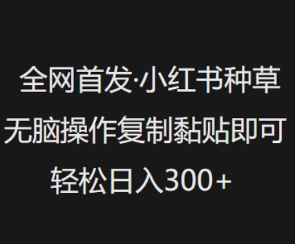 全网首发，小红书种草无脑操作，复制黏贴即可，轻松日入3张_超次元库