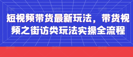 短视频带货最新玩法，带货视频之街访类玩法实操全流程_超次元库