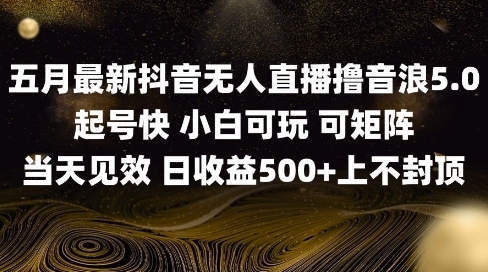 2025五月最新无人直播撸音浪单日产出5张+实操教程【揭秘】_超次元库