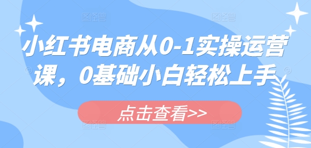 小红书电商从0-1实操运营课，0基础小白轻松上手_超次元库