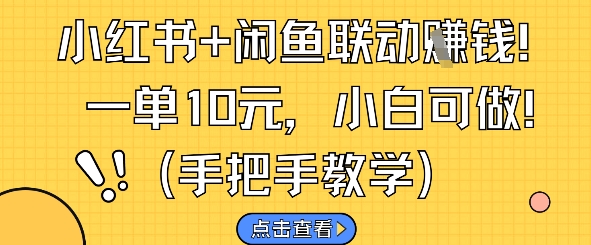 小红书+闲鱼联动挣钱，一单10元，小白可做_超次元库