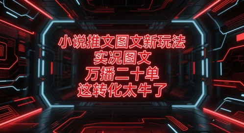小说推文图文新玩法，实况图文，万播二十单，这转化太牛了！_超次元库
