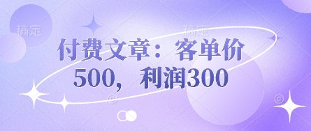 付费文章：客单价500，利润300_超次元库