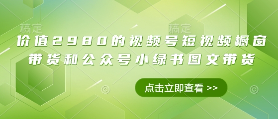 价值2980的视频号短视频橱窗带货和公众号小绿书图文带货_超次元库