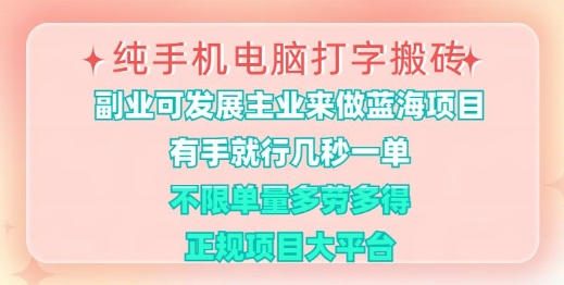 纯手机电脑打字搬砖，有手就行，几秒一单，多劳多得，正规项目大平台【揭秘】_超次元库