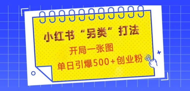 小红书“另类”打法，开局一张图，单日引爆500+精准创业粉【揭秘】_超次元库