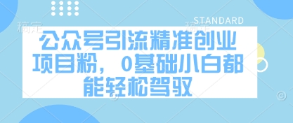 公众号引流精准创业项目粉，0基础小白都能轻松驾驭_超次元库