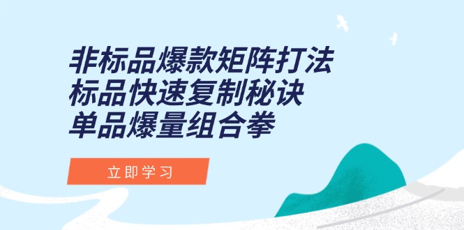 非标品爆款矩阵打法，标品快速复制秘诀，单品爆量组合拳_超次元库