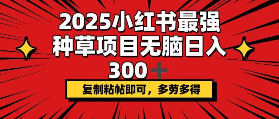 2025小红书最强种草项目，无脑日入300+，复制粘帖即可，多劳多得_超次元库
