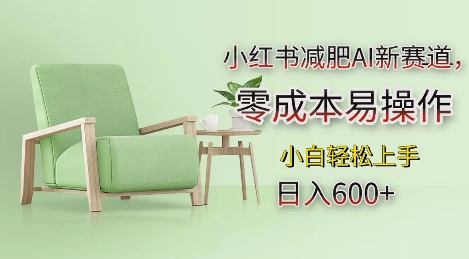 小红书减肥AI新赛道，零成本易操作，日入多张，小白轻松上手【揭秘】_超次元库