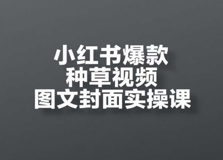 小红书爆款种草视频图文封面实操课，​开店、选品、引流、变现全流程_超次元库