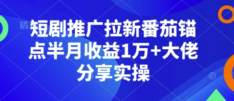 短剧推广拉新番茄锚点半月收益1万+大佬分享实操_超次元库
