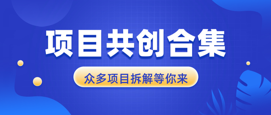 项目共创合集，从0-1全过程拆解，让你迅速找到适合自已的项目_超次元库