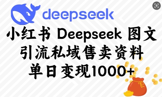 小红书Deepseek图文引流私域售卖资料，单日变现多张_超次元库