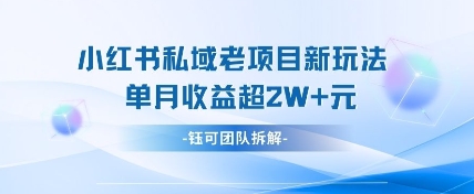 小红书私域项目新玩法，单月变现过W+_超次元库