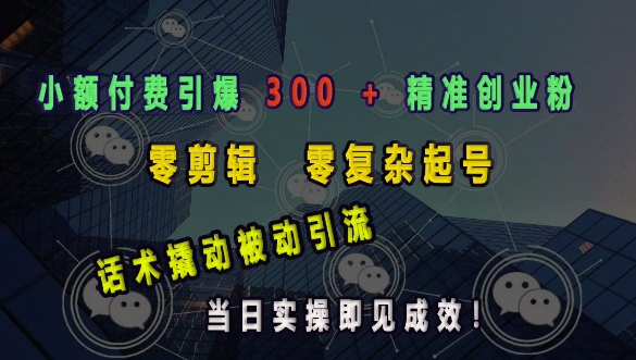 小额付费引爆 300 + 精准创业粉，零剪辑、零复杂起号，话术撬动被动引流，当日实操即见成效_超次元库