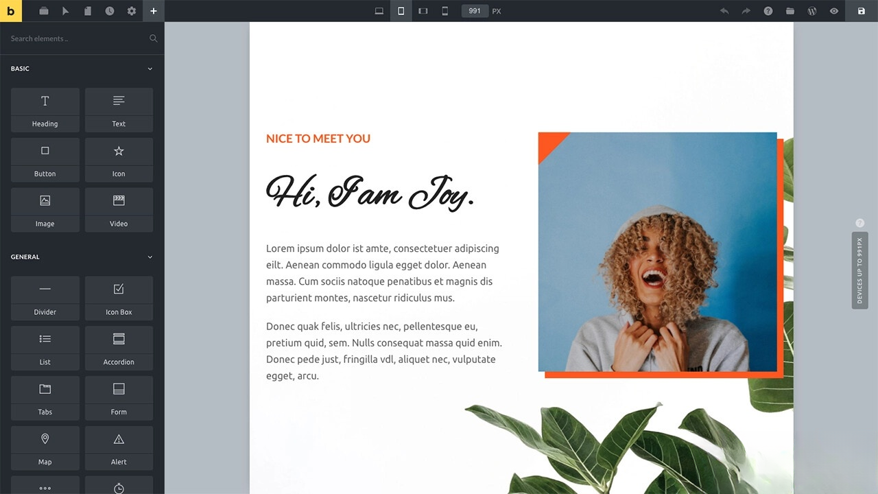 WordPress主题Bricks v1.9 破解版_超次元库