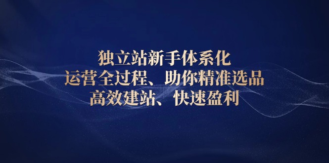 独立站新手体系化 运营全过程，助你精准选品、高效建站、快速盈利_超次元库