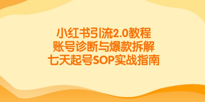 小红书引流2.0教程，账号诊断与爆款拆解，七天起号SOP实战指南_超次元库
