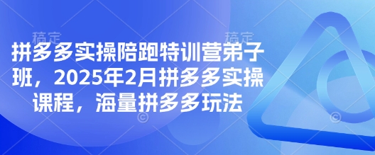 拼多多实操陪跑特训营弟子班，2025年2月拼多多实操课程，海量拼多多玩法_超次元库