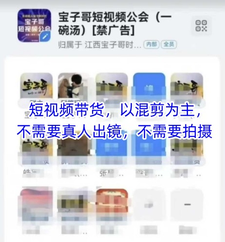 宝子哥头部团队短视频带货，以混剪为主，不需要真人出镜，不需要拍摄【更新】_超次元库