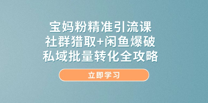 宝妈粉精准引流课，社群猎取+闲鱼爆破，私域批量转化全攻略_超次元库