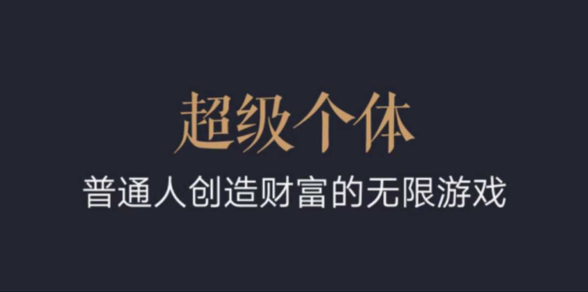 超级个体：2024-2025翻盘指南，普通人创造财富的无限游戏_超次元库