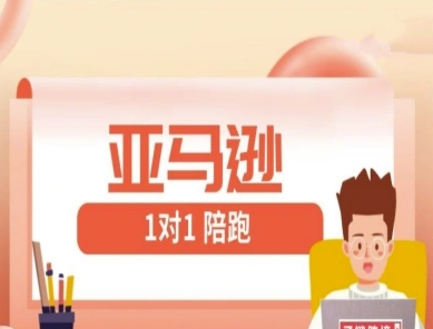 亚马逊1对1陪跑课(FBA/FBM精铺)跨境亚马逊教程_超次元库