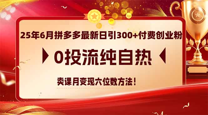 25年6月拼多多最新日引300+付费创业粉，0投流纯自热 卖课月变现六位数方法_超次元库