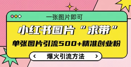 小红书图片‘求带’爆火引流法，单张图片引流500+精准创业粉【揭秘】_超次元库