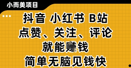 小而美的项目，抖音小红书B站视频点赞、关注、评论就能挣钱，简单无脑立见收益，妥妥的零撸项目【揭秘】_超次元库