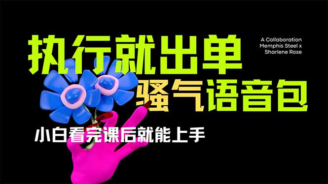 爆火全网的开车导航骚气语音包,只要执行就出单，小白看完课程就能实操…_超次元库