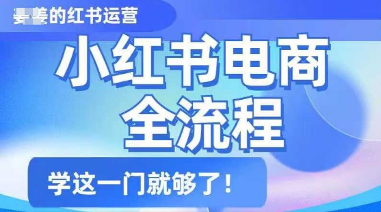小红书电商全流程，精简易懂，从入门到精通，学这一门就够了_超次元库