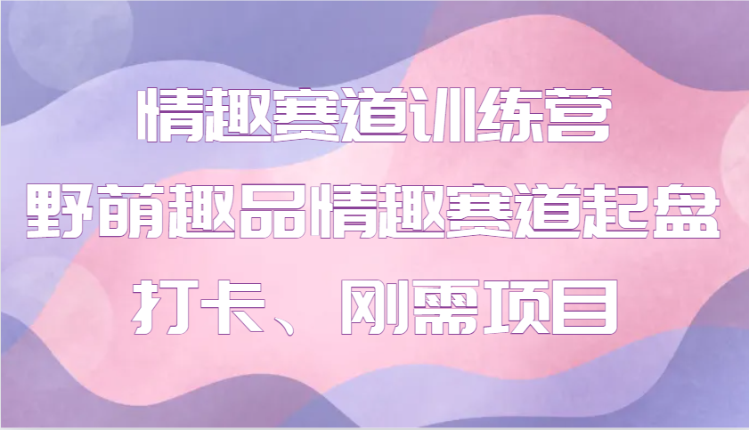 情趣赛道训练营 野萌趣品情趣赛道起盘打卡、刚需项目_超次元库