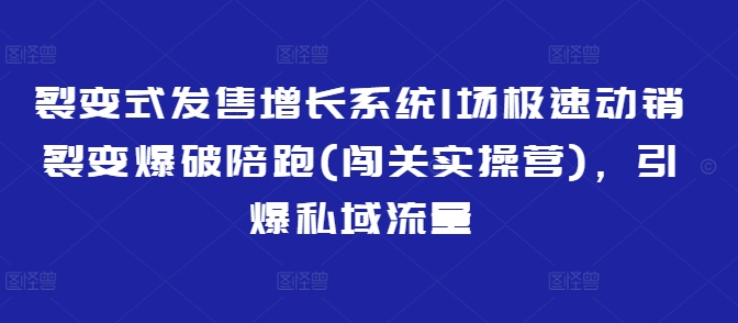 裂变式发售增长系统1场极速动销裂变爆破陪跑(闯关实操营)，引爆私域流量_超次元库